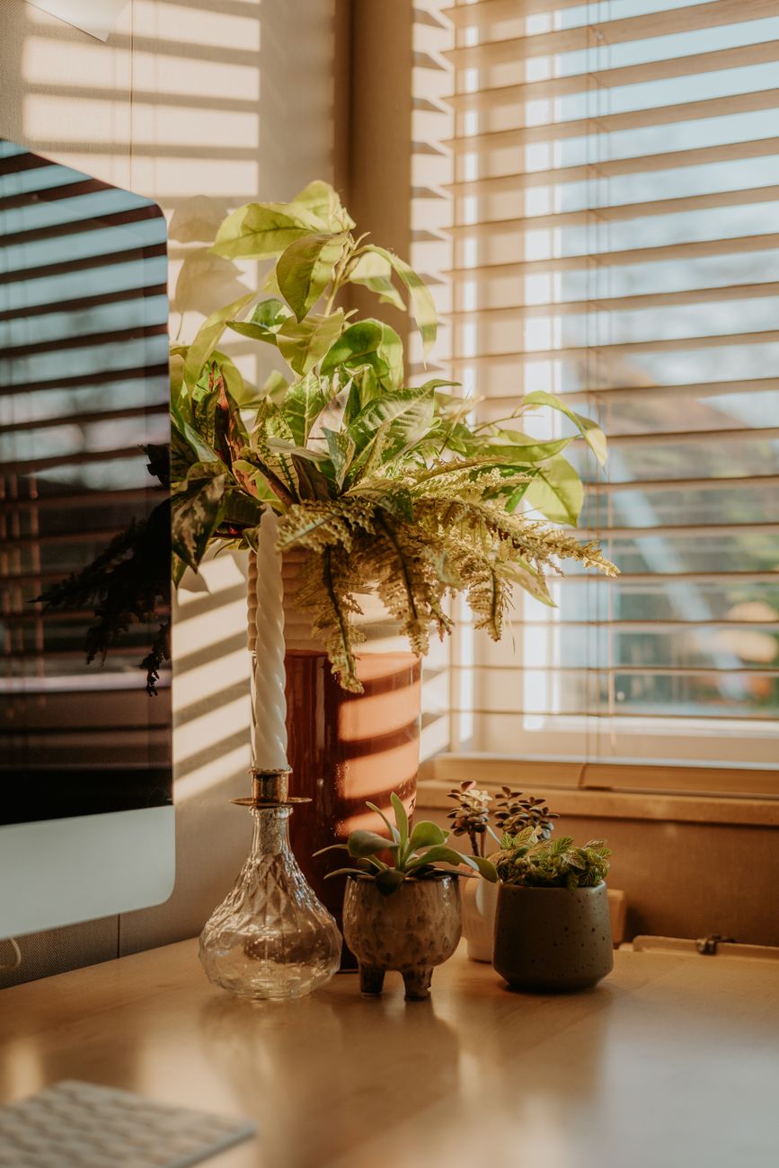 cozy desktop setup with indoor plants