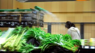 fresh vegetables in supermarket produce aisle